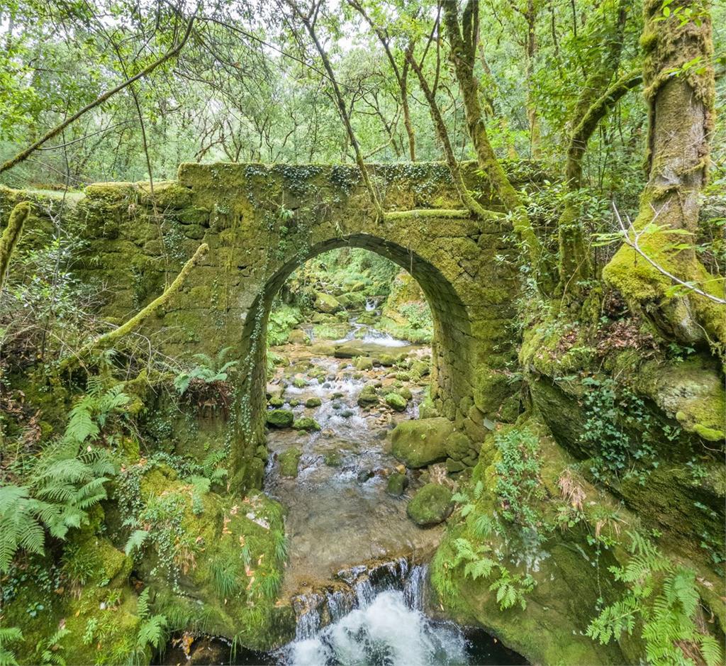 imagen principal Puente de San Xoán do Mosteiro