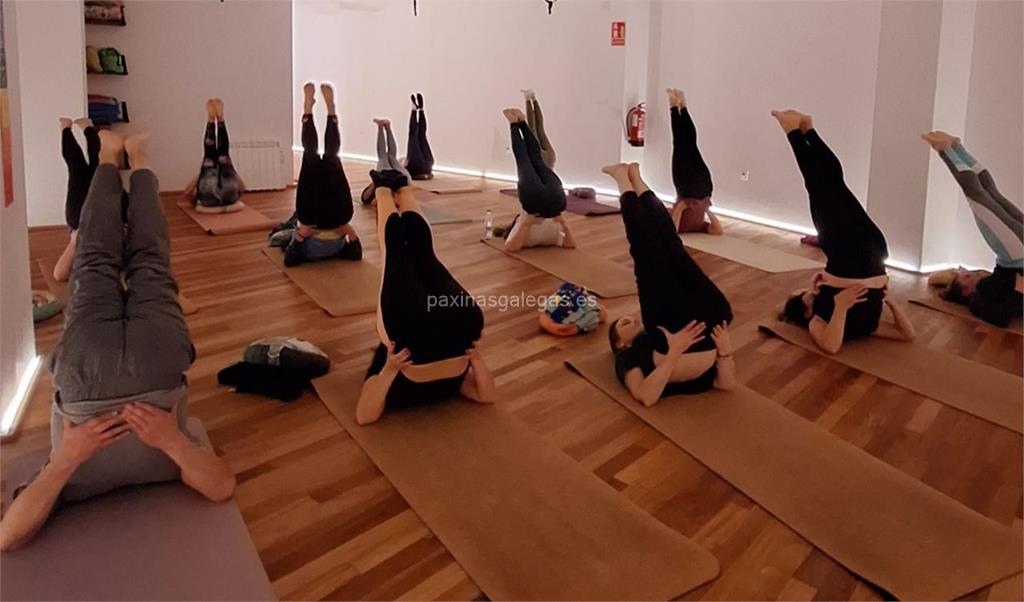 Sisiva Yoga Estudio imagen 13