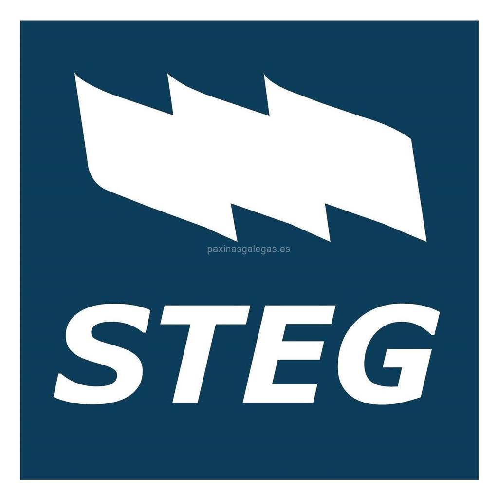 logotipo STEG - Sindicato de Traballadoras e Traballadores do Ensino Galego