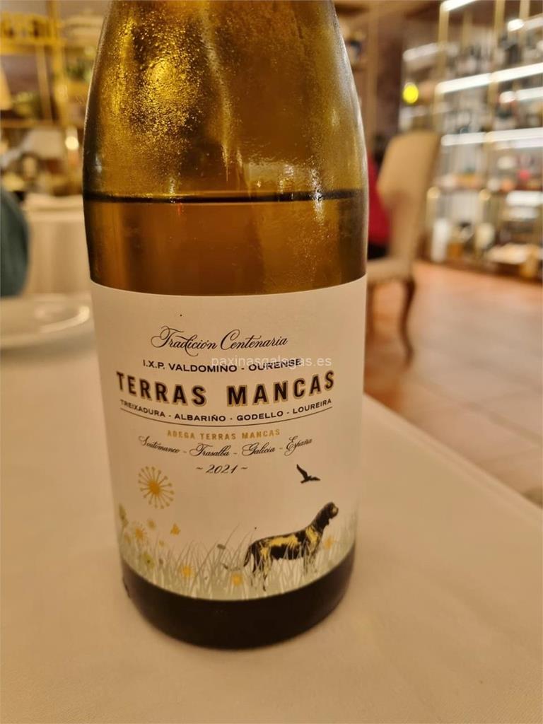 imagen principal Terras Mancas (Albariño, Treixadura, Godello y Loureira)