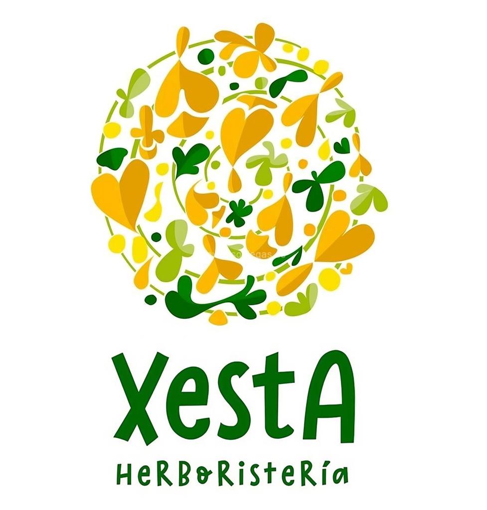 logotipo Xesta